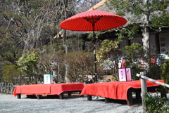 百草園にて