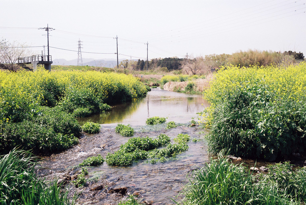 越辺川の河川敷にて