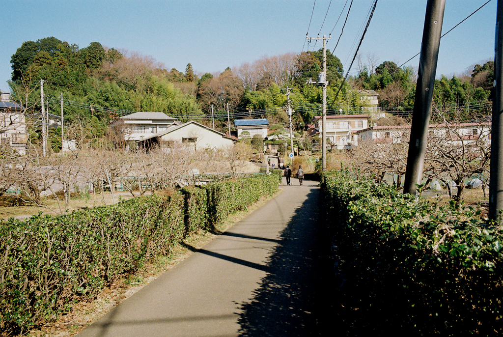 野猿街道より御嶽神社方向を望む