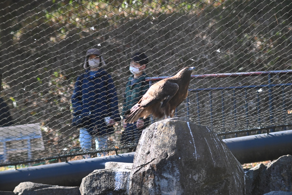 ワシ舎にて