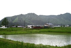 田んぼと只見線