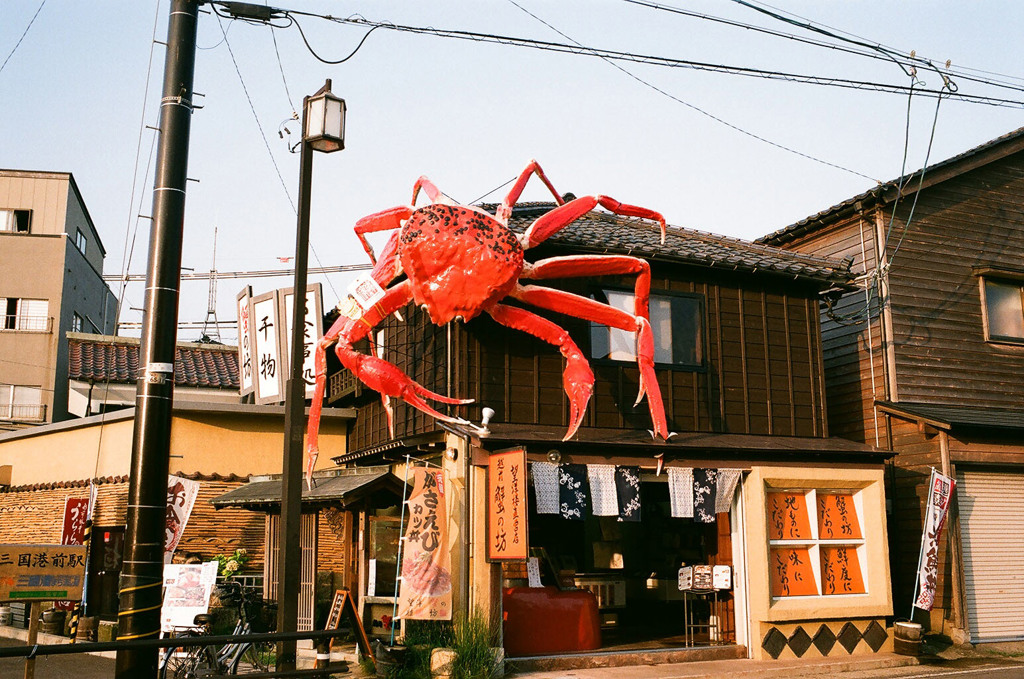 カニが食いたくなったなぁ