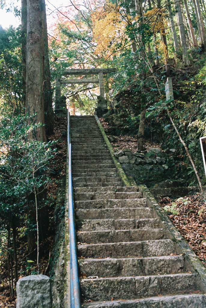 白髭神社