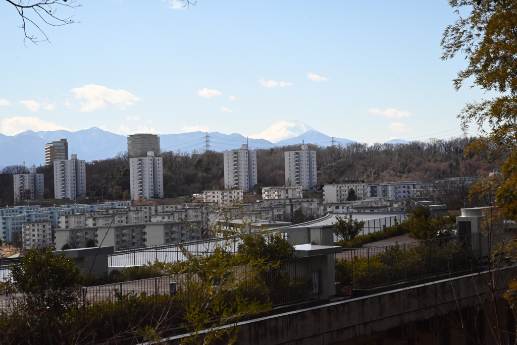 富士山