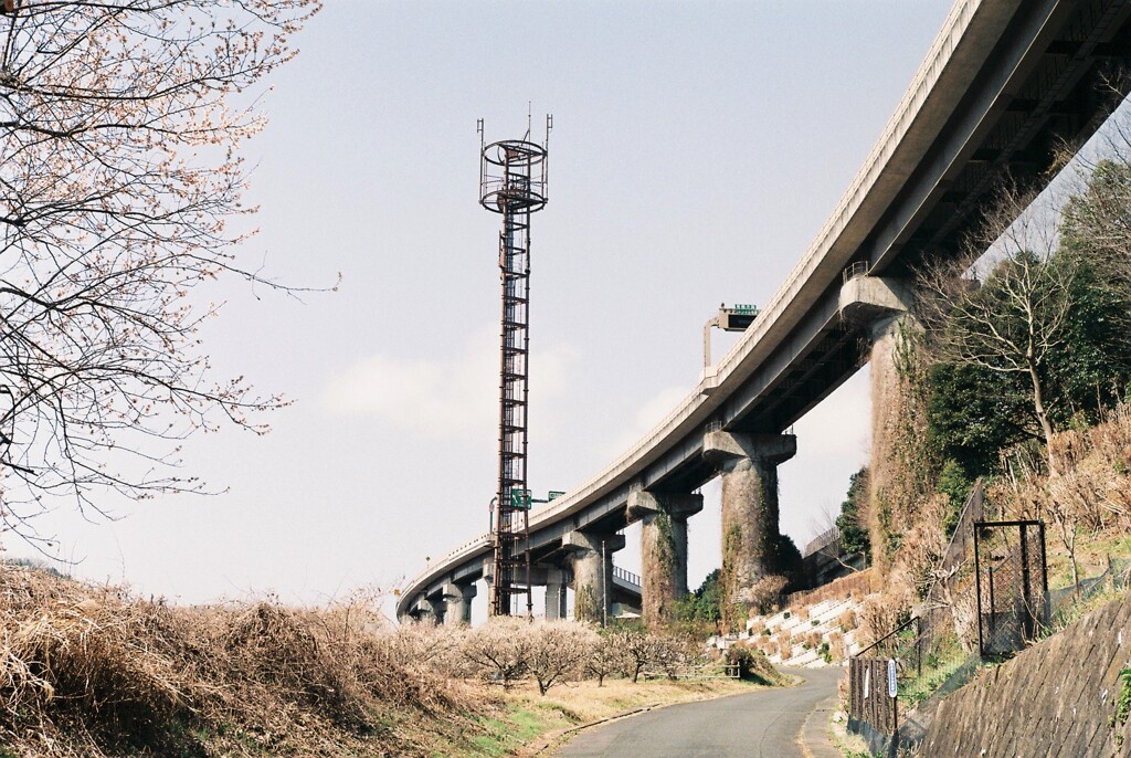 中央自動車道