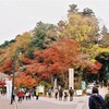 紅葉③