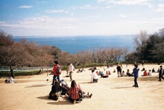 吾妻山公園にて