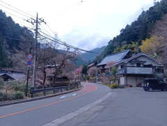 数馬にて