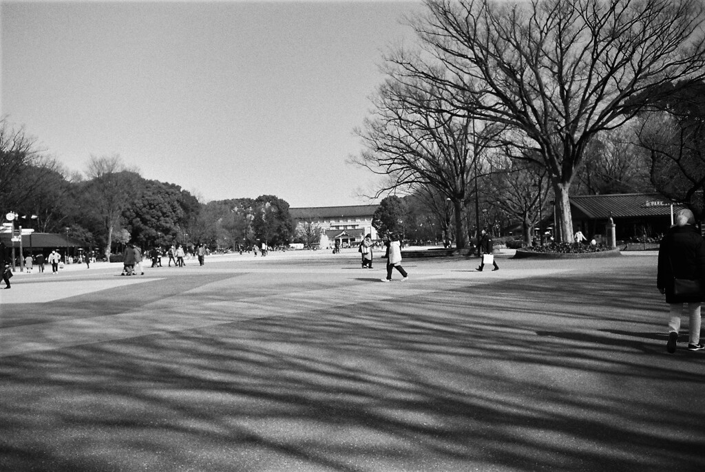 上野公園にて