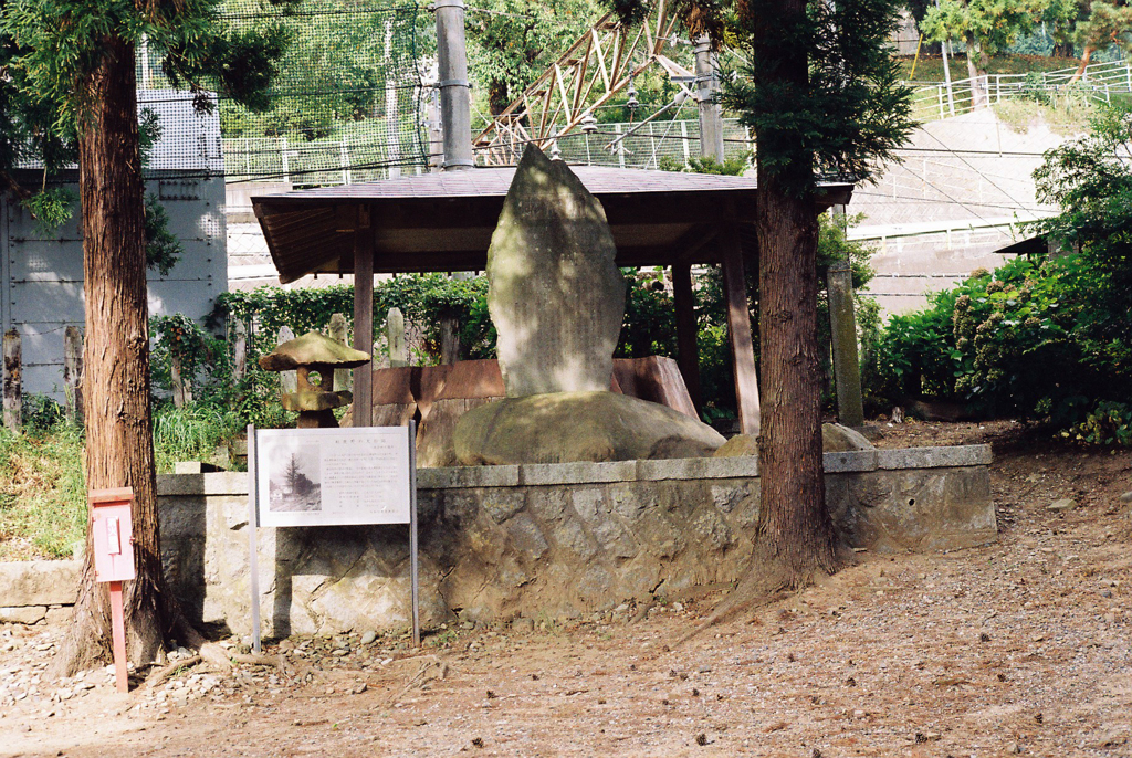 初鹿野の大杉跡