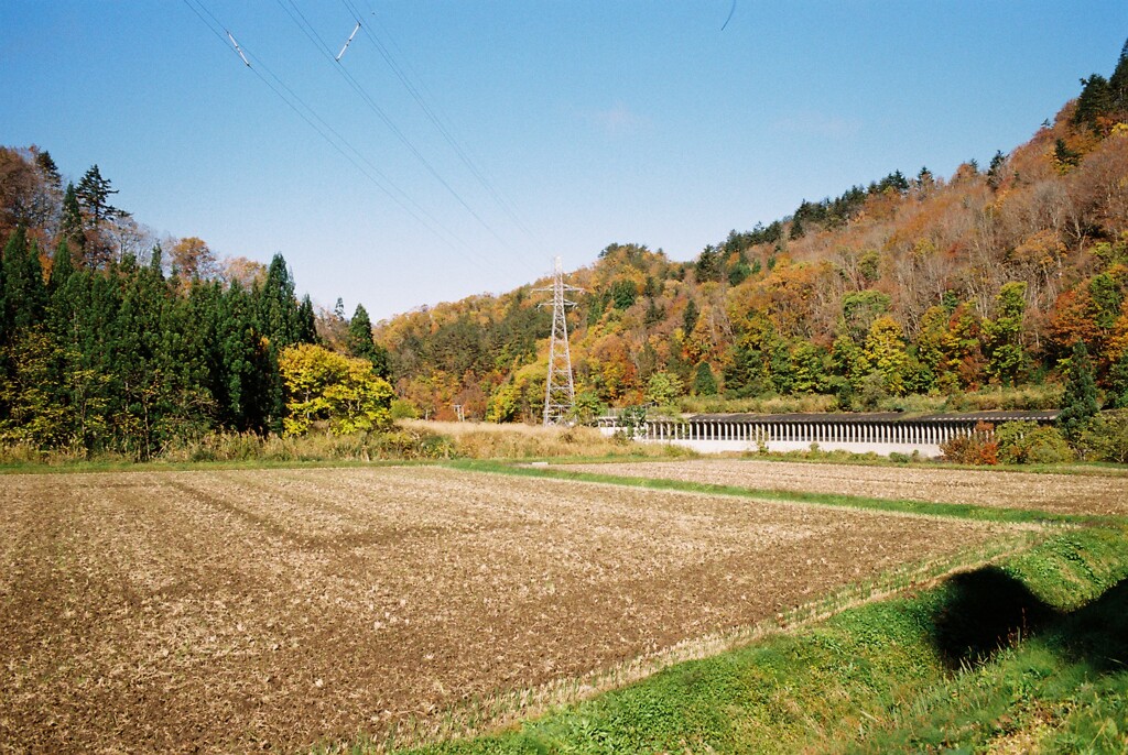紅葉