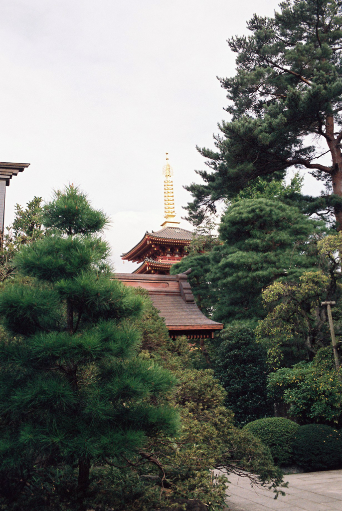 高幡不動尊金剛寺