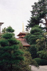 高幡不動尊金剛寺