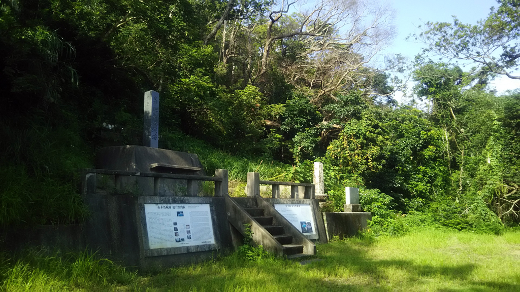 ソース画像を表示