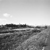 M１でお散歩③