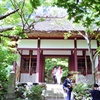 常寂光寺仁王門
