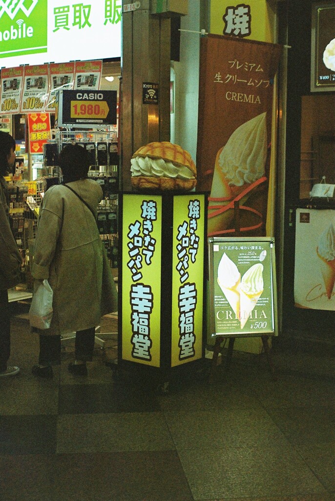 シャコガイかと思ったら