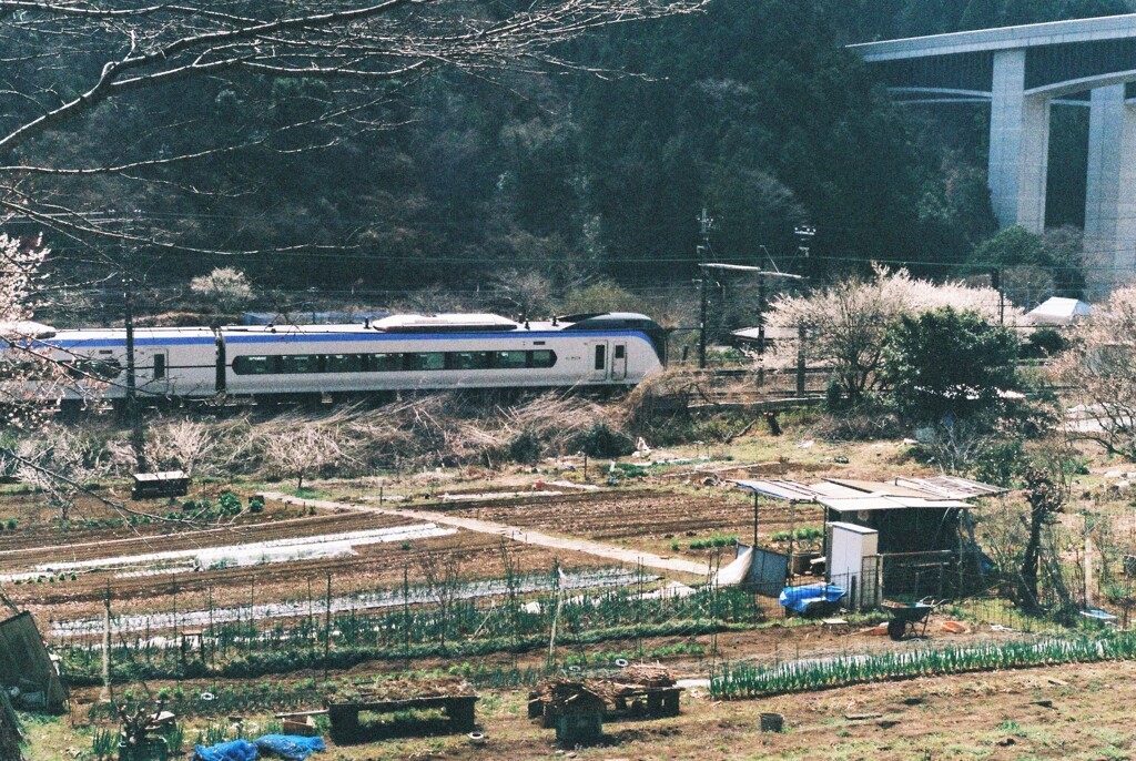 特急電車