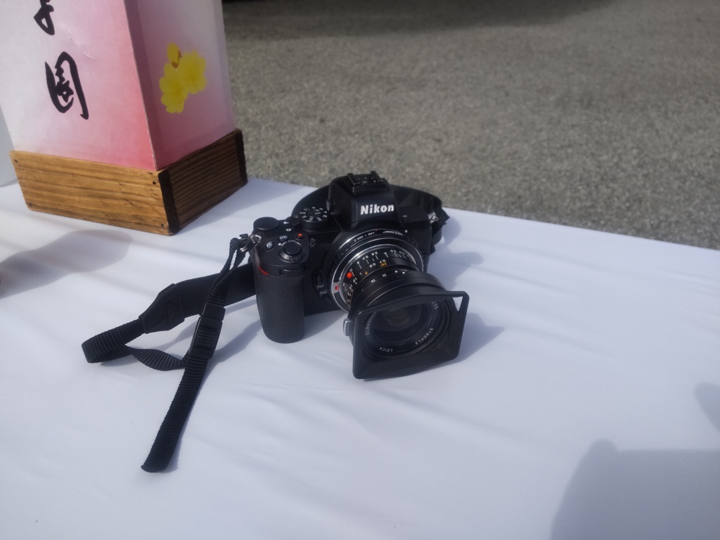Nikon Z50 + Leica Elmarit-M 21mm