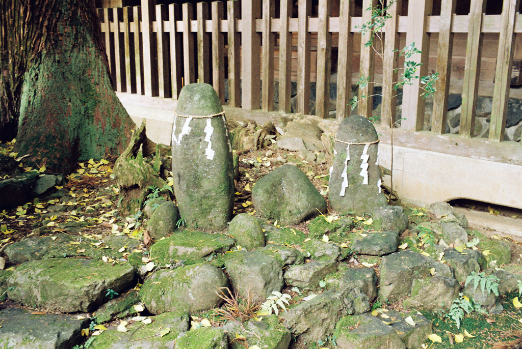 熊野神社にて