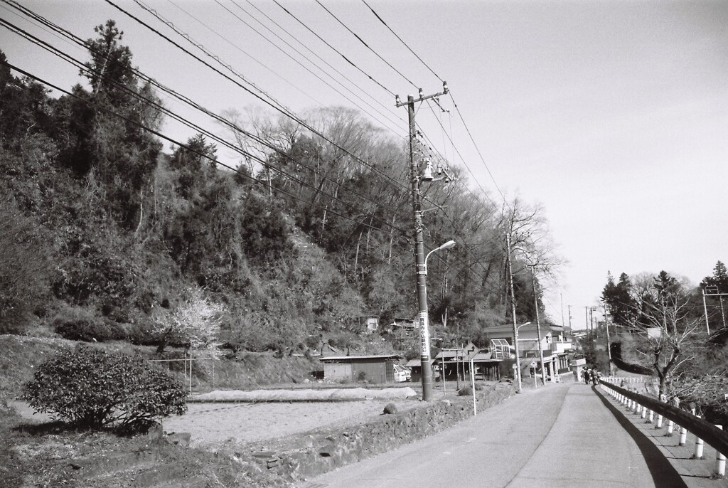 旧甲州街道