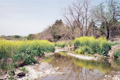 越辺川の河川敷にて