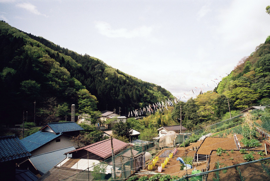 八坂神社から鯉のぼりを見る