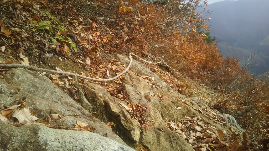 蒲生岳登山道