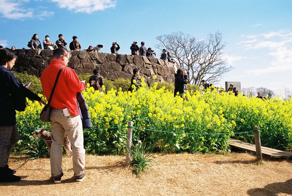 吾妻山公園にて