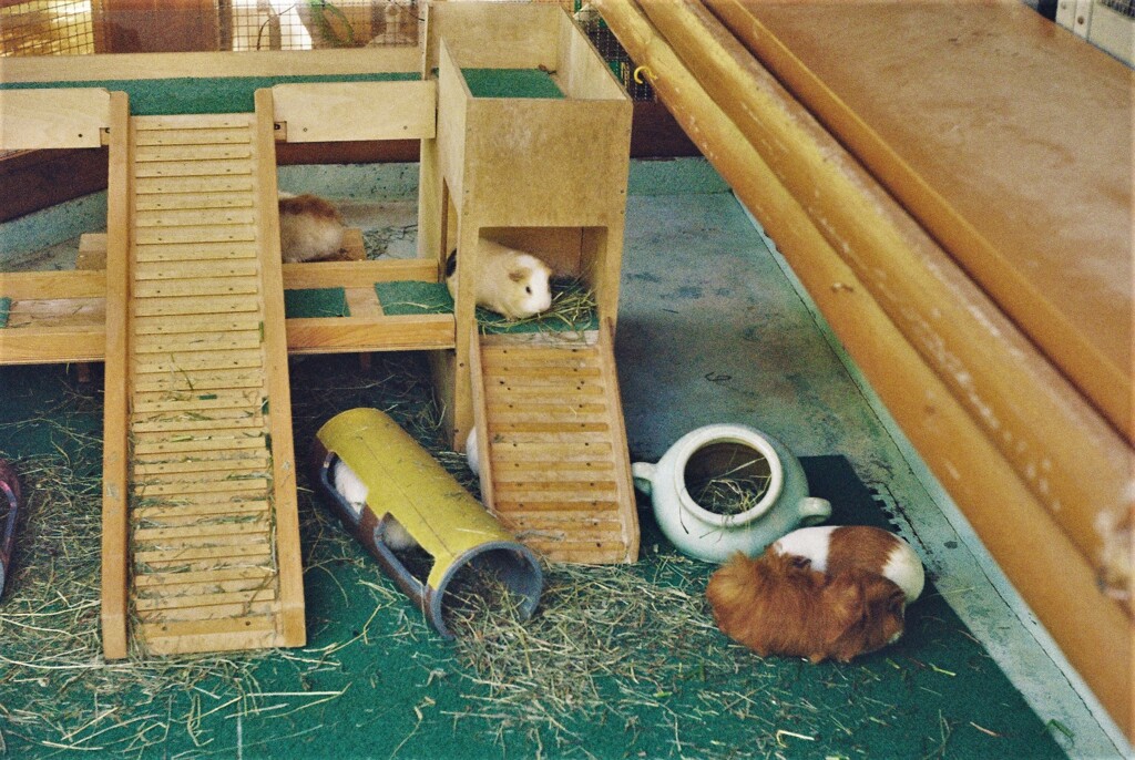 多摩動物園にて①