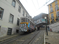 リスボンの馬面電車