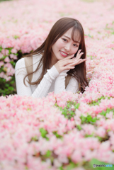 春を召す