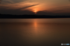 夕陽145