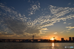 夕陽126