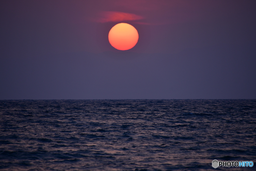 夕陽596
