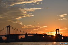夕陽138