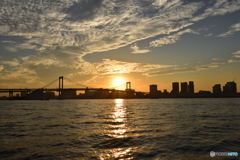 夕陽113