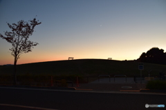 夕暮れのベンチ154