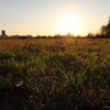 夕焼け