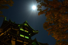 夜の高田城 2