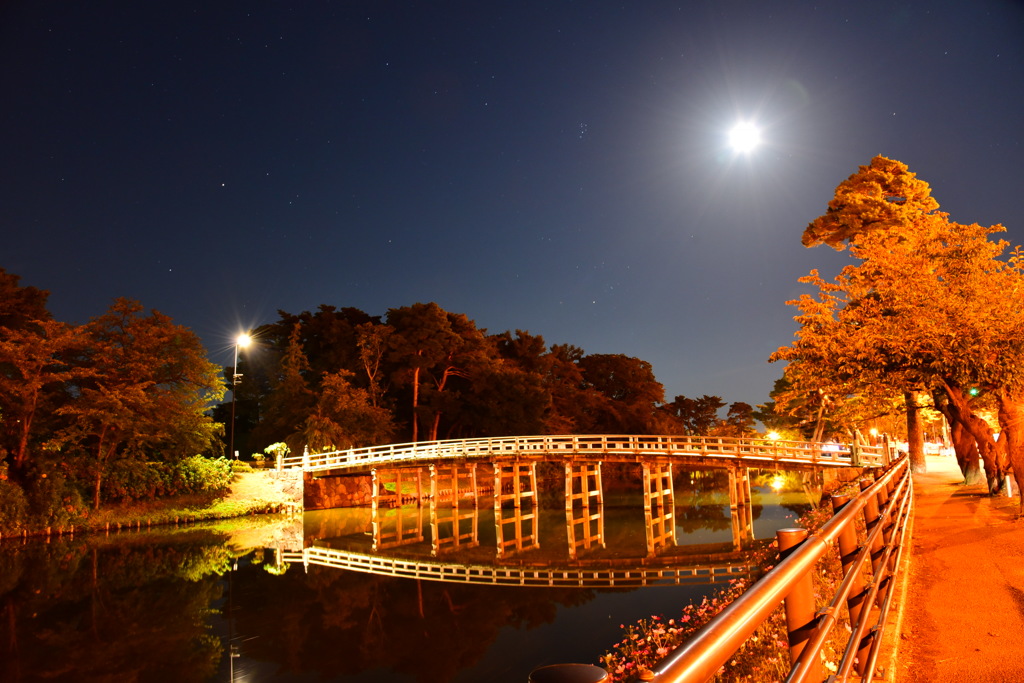 高田公園 夜の極楽橋