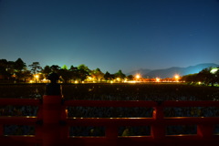 夜の高田公園の橋から