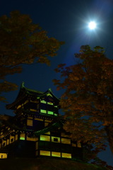 夜の高田城 1