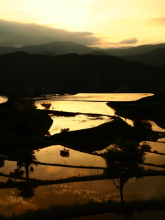 棚田の夕焼け