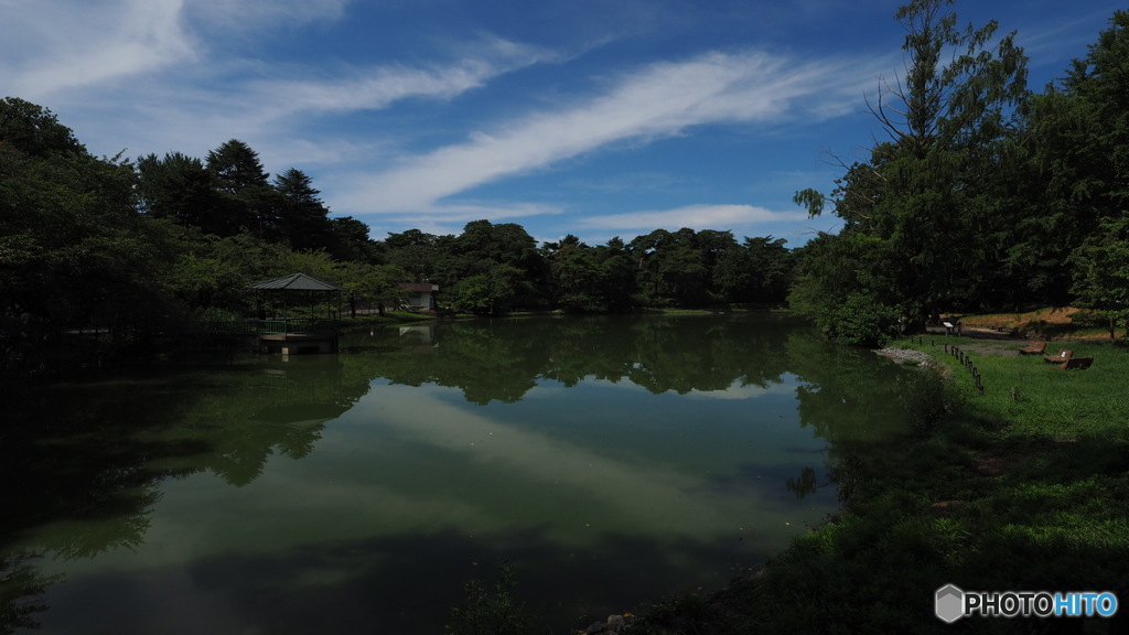 池のほとりにて