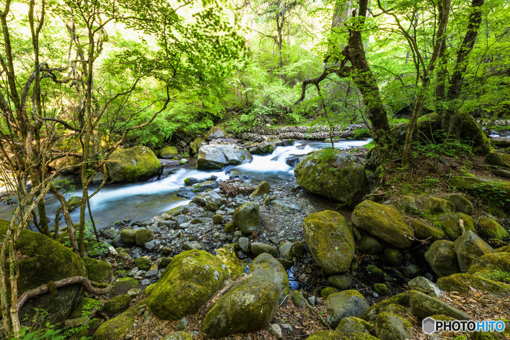 山梨（清里周辺）