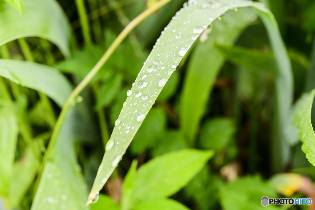 雨の日のシャッター