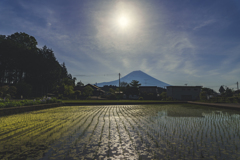 山梨プラプラ散歩