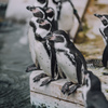 ぷらぷら動物園スナップ