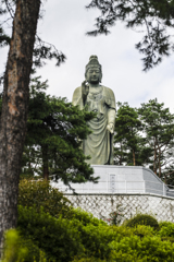 塩船観音　彼岸花ect